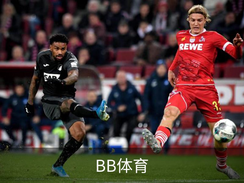 BB体育简介